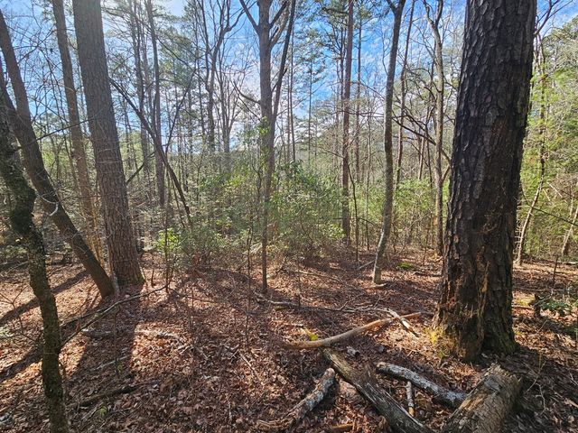 Lot 77 Roaring Forks Lane, Ellijay, GA 30540