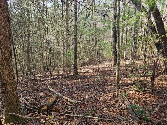 Lot 77 Roaring Forks Lane, Ellijay, GA 30540