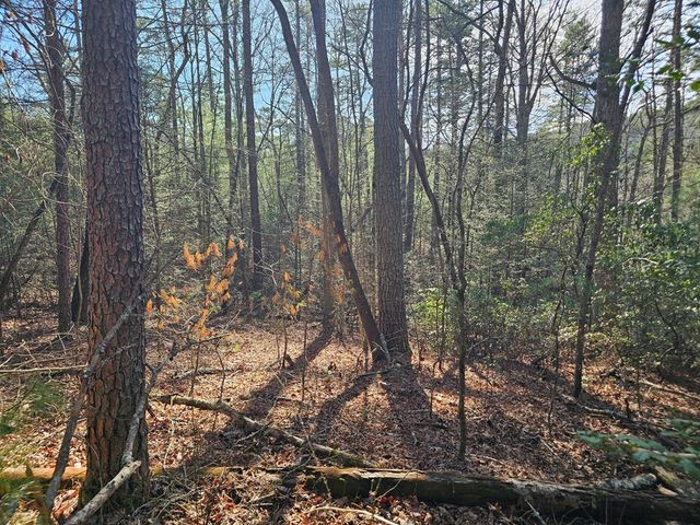 Lot 77 Roaring Forks Lane, Ellijay, GA 30540