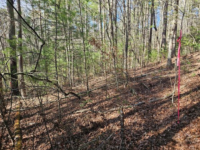 Lot 77 Roaring Forks Lane, Ellijay, GA 30540