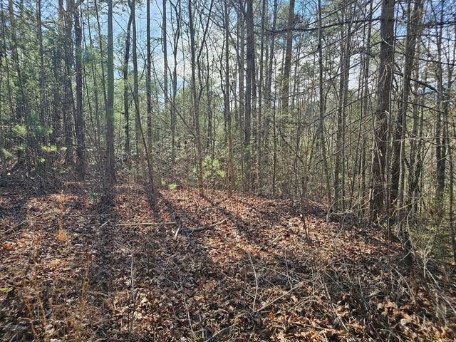 Lot 77 Roaring Forks Lane, Ellijay, GA 30540