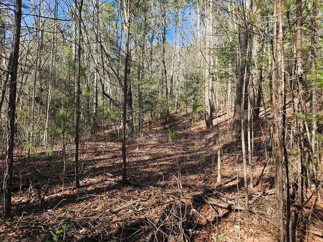 Lot 77 Roaring Forks Lane, Ellijay, GA 30540