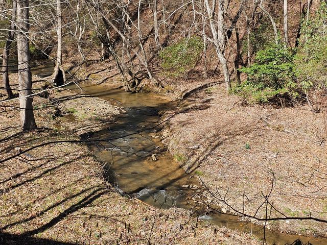 Lot 77 Roaring Forks Lane, Ellijay, GA 30540