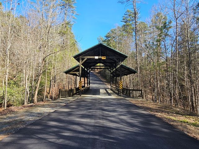 Lot 77 Roaring Forks Lane, Ellijay, GA 30540