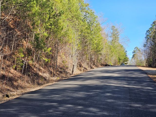 Lot 77 Roaring Forks Lane, Ellijay, GA 30540