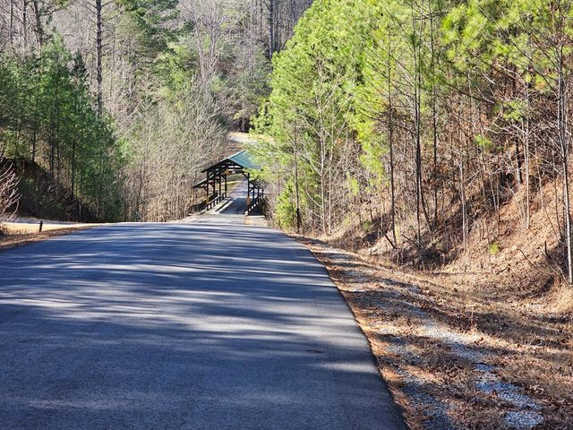 Lot 77 Roaring Forks Lane, Ellijay, GA 30540