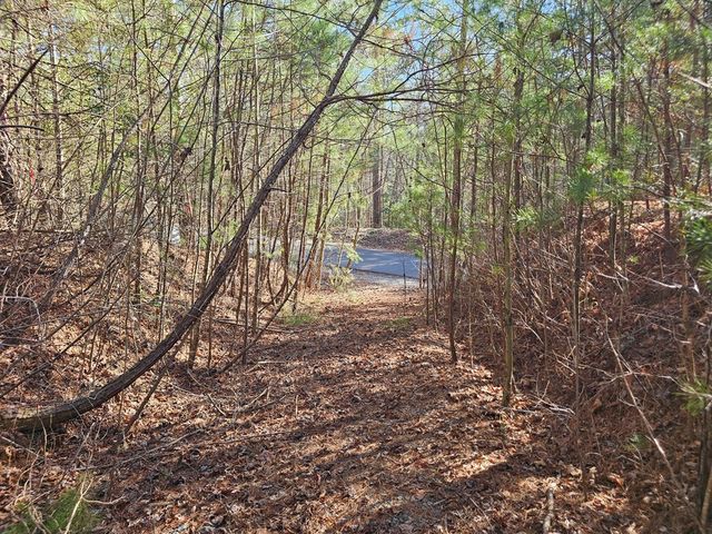 Lot 77 Roaring Forks Lane, Ellijay, GA 30540