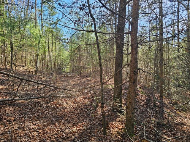 Lot 77 Roaring Forks Lane, Ellijay, GA 30540