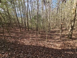 Lot 77 Roaring Forks Lane, Ellijay, GA 30540