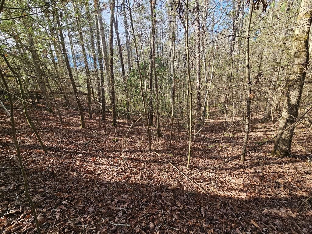 Lot 77 Roaring Forks Lane, Ellijay, GA 30540