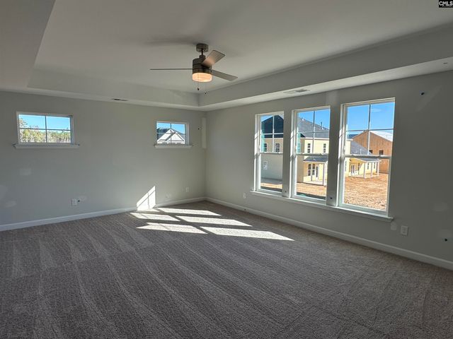 609 Falling Leaf Lane, Chapin, SC 29036