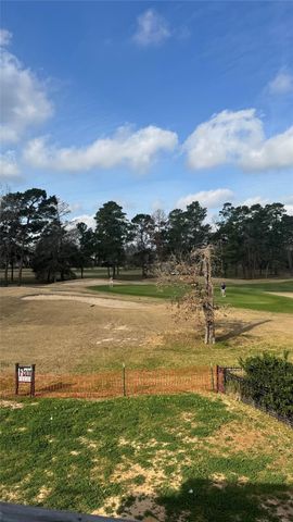 65 Shadow Creek Ridge Drive, Spring, TX 77389