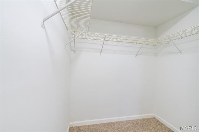 610 Summer Winds Lane F, St Peters, MO 63376