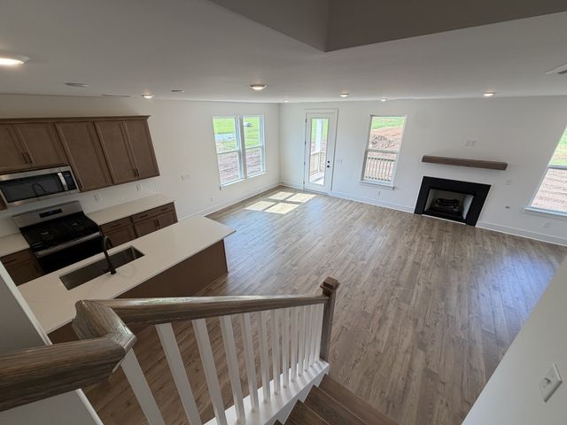 1435 Charles Dr, Chapel Hill, TN 37034