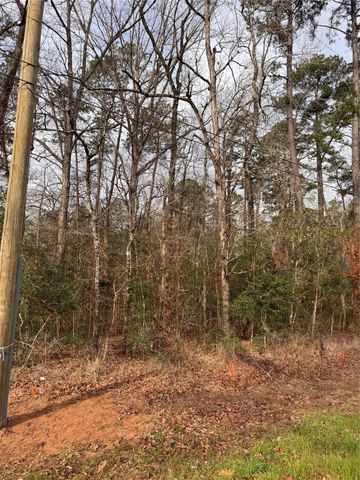 121 Indian Creek Cir Circle, Willis, TX 77378