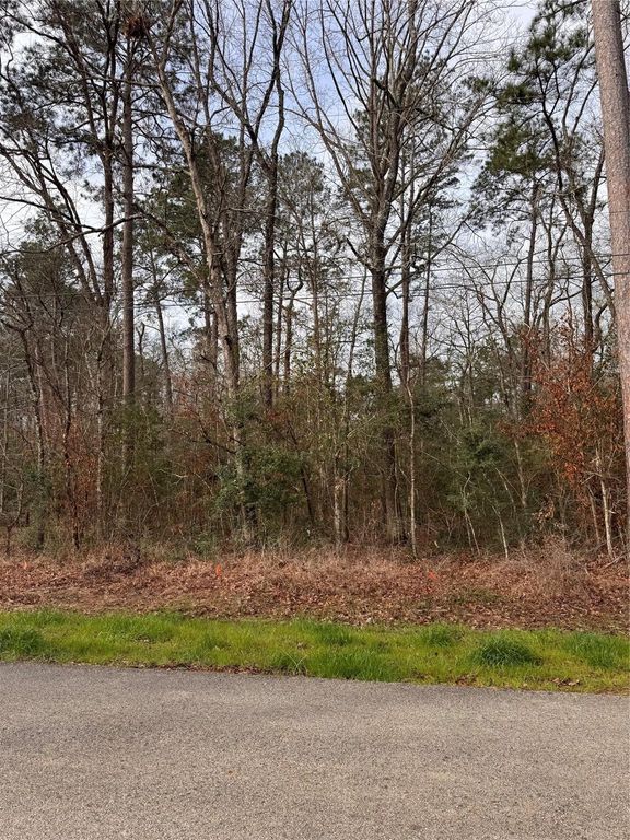 121 Indian Creek Cir Circle, Willis, TX 77378
