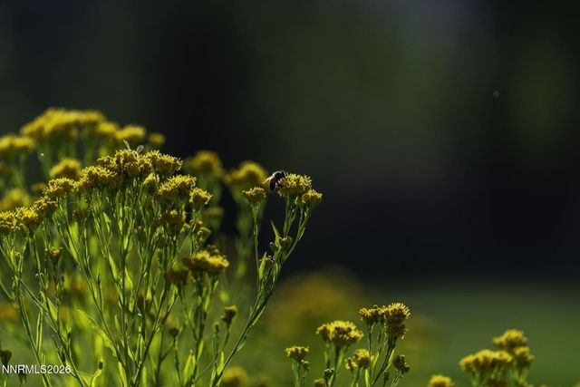 1051 Riverview Drive, Gardnerville, NV 89460