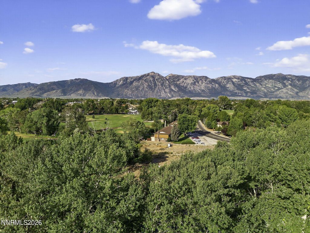 Image 51 of property listing at 1051 Riverview Drive, Gardnerville, NV 89460