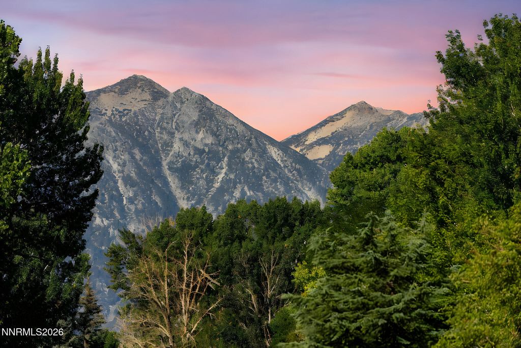 Image 64 of property listing at 1051 Riverview Drive, Gardnerville, NV 89460