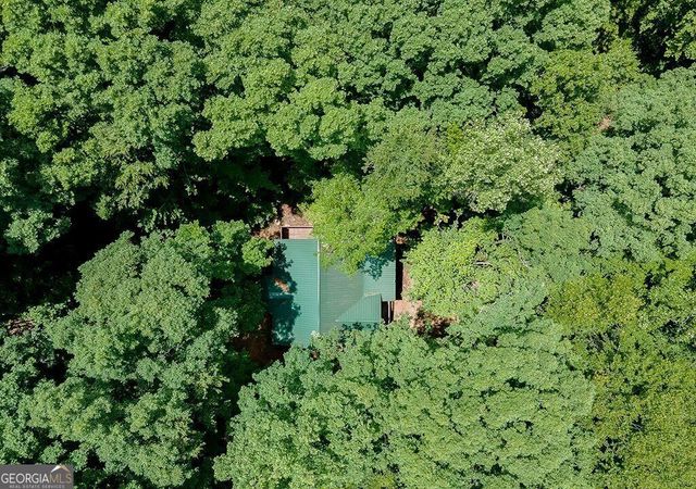 493 Vista View Place, Cleveland, GA 30528