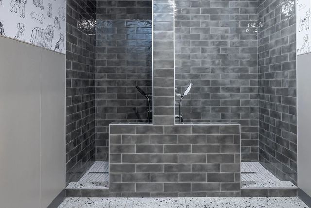 930 Ridgeview Drive 1262, Allen, TX 75013