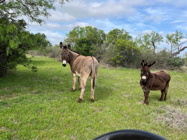 2190 W FM 574 Road W, Mullin, TX 76864