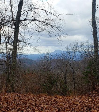 1009 N Cut Drive, Ranger, GA 30734