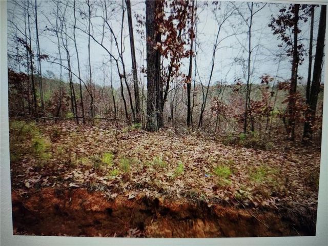 546100 Stonewall Tell, Atlanta, GA 30349