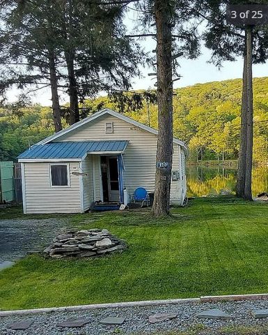 120 Silver Lake, Hancock, NY 13783
