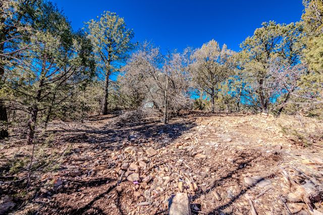 18 Calle Del Caballo NE, Sandia Park, NM 87047