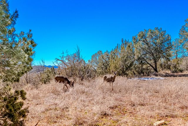 18 Calle Del Caballo NE, Sandia Park, NM 87047