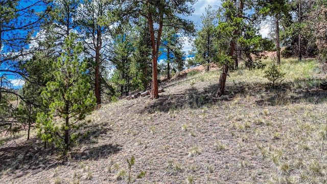 218 Princess Road, Cripple Creek, CO 80813