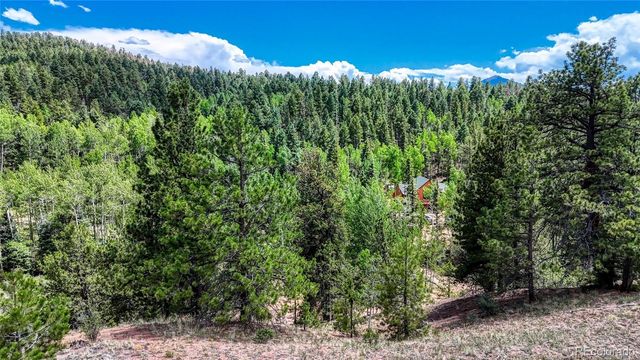 218 Princess Road, Cripple Creek, CO 80813