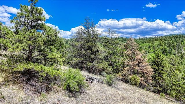 218 Princess Road, Cripple Creek, CO 80813