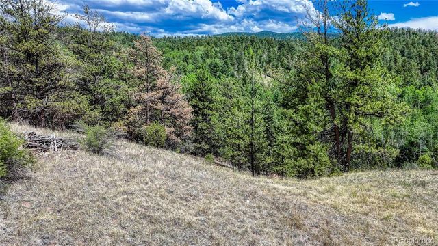 218 Princess Road, Cripple Creek, CO 80813