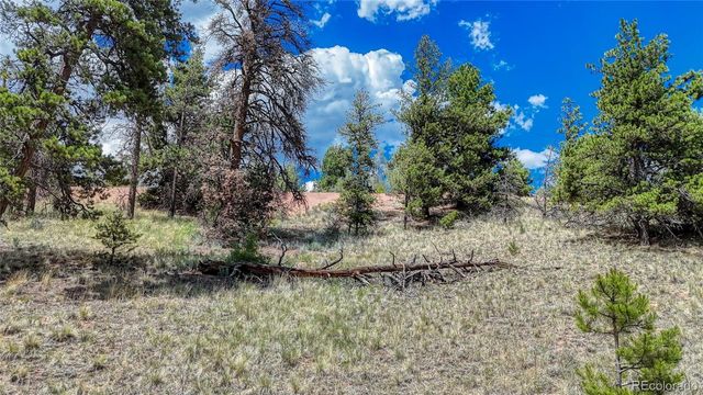 218 Princess Road, Cripple Creek, CO 80813