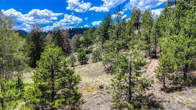 218 Princess Road, Cripple Creek, CO 80813