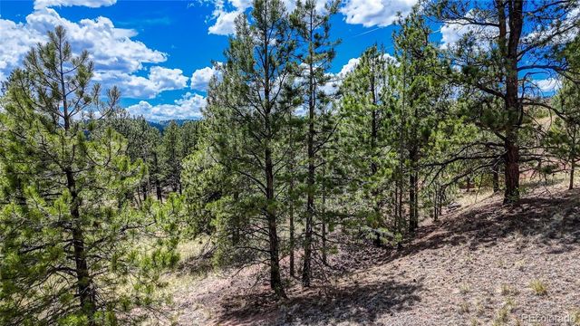 218 Princess Road, Cripple Creek, CO 80813
