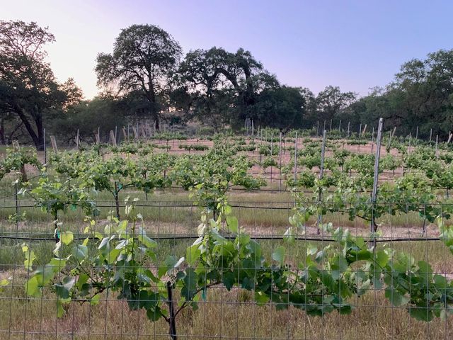 0 Hayes Lane, San Martin, CA 95046