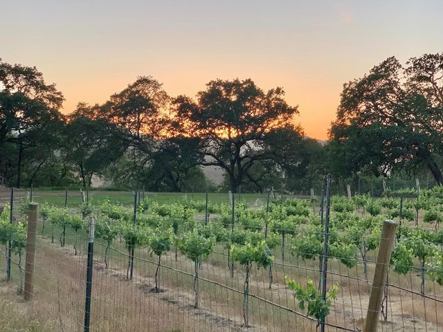 0 Hayes Lane, San Martin, CA 95046