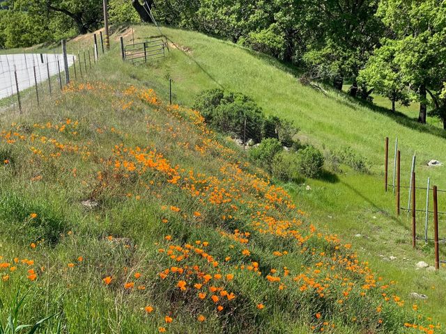 0 Hayes Lane, San Martin, CA 95046