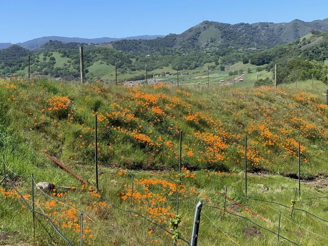 0 Hayes Lane, San Martin, CA 95046