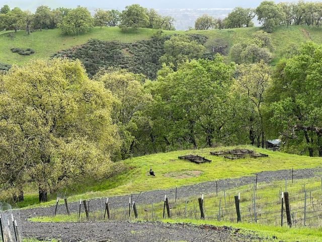0 Hayes Lane, San Martin, CA 95046