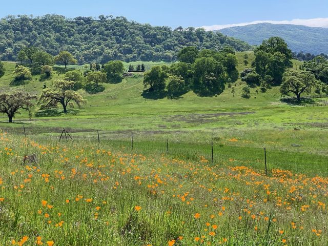 0 Hayes Lane, San Martin, CA 95046