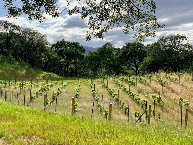 0 Hayes Lane, San Martin, CA 95046
