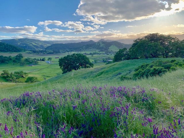 0 Hayes Lane, San Martin, CA 95046