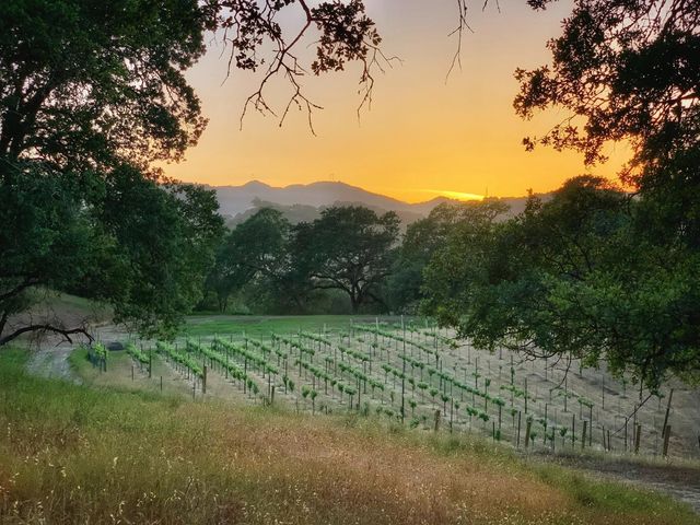 0 Hayes Lane, San Martin, CA 95046