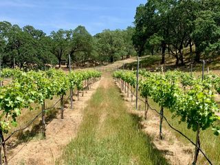 0 Hayes Lane, San Martin, CA 95046