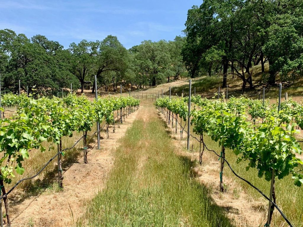 0 Hayes Lane, San Martin, CA 95046