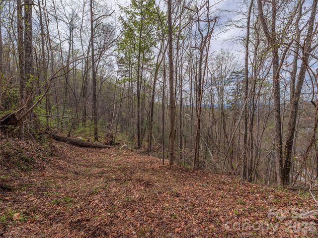 91 & 101 Cedar Mountain Road, Asheville, NC 28803